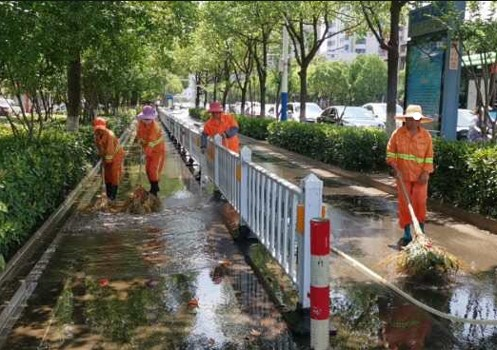 普瑞路（三環線段-雷高路）提質改造工程設計采購施工總承包第一標段項目園林綠化維護及保潔服務項目